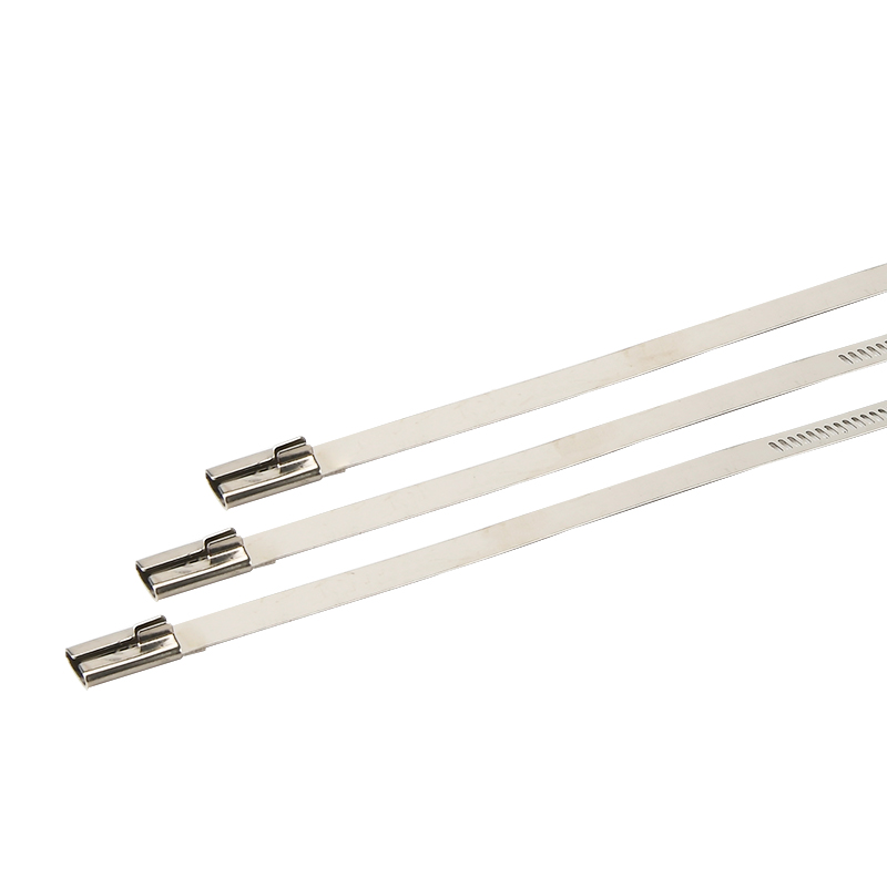 Ladder Cable Tie-Multi Lock Type